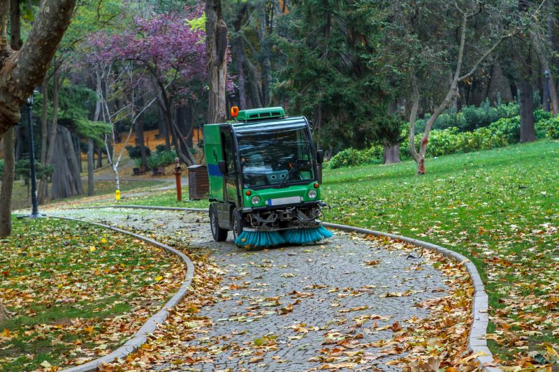 Cleaning Service